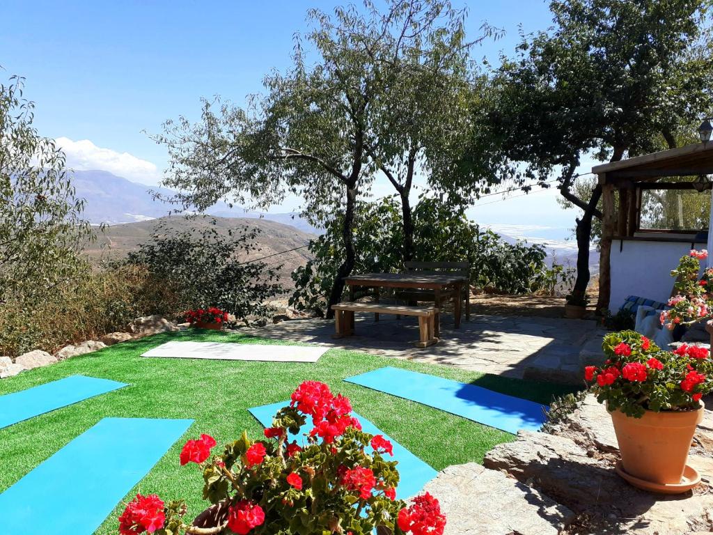 Cortijo Los Maximos photo 4