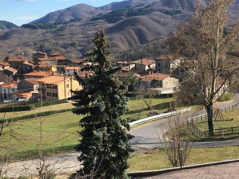 Beautiful house in Gragnana/Piazza al Serchio photo 3