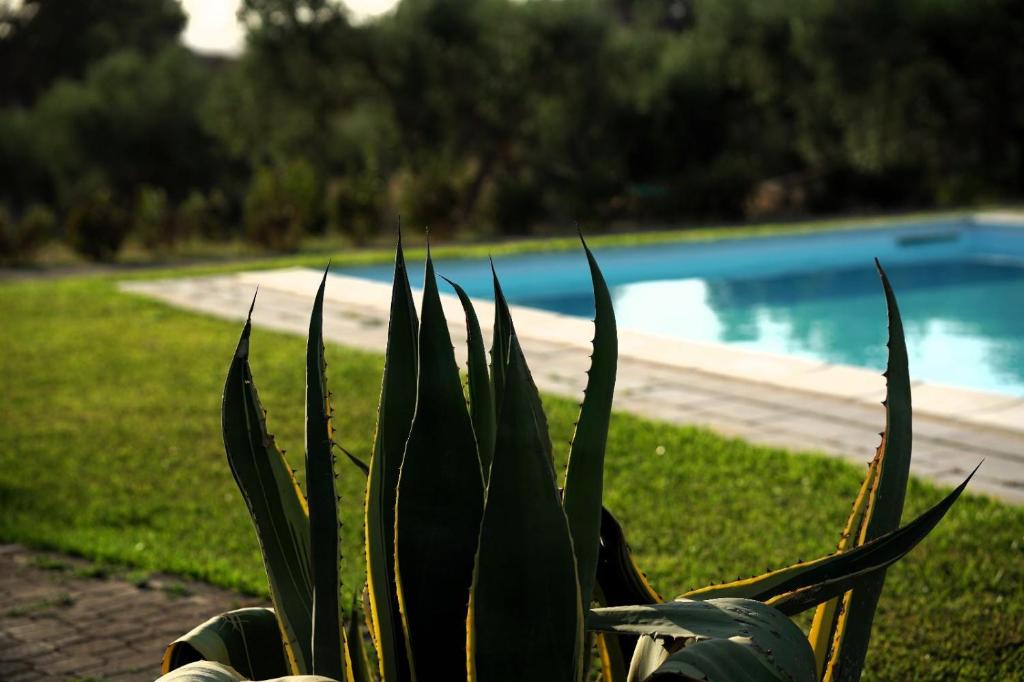 Accogliente villa con piscina photo 4