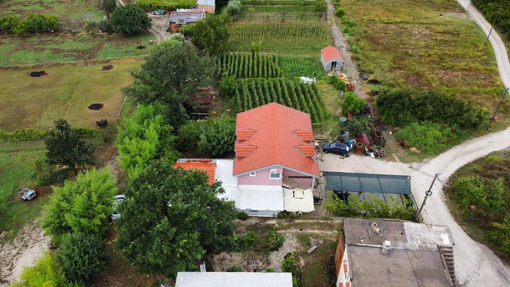 Apartman Balsa photo 2