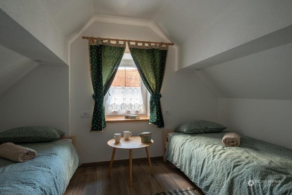 Cherry house - cosy house - ideal for bear watching, in the neighborhood of the medieval Snežnik castle photo 3