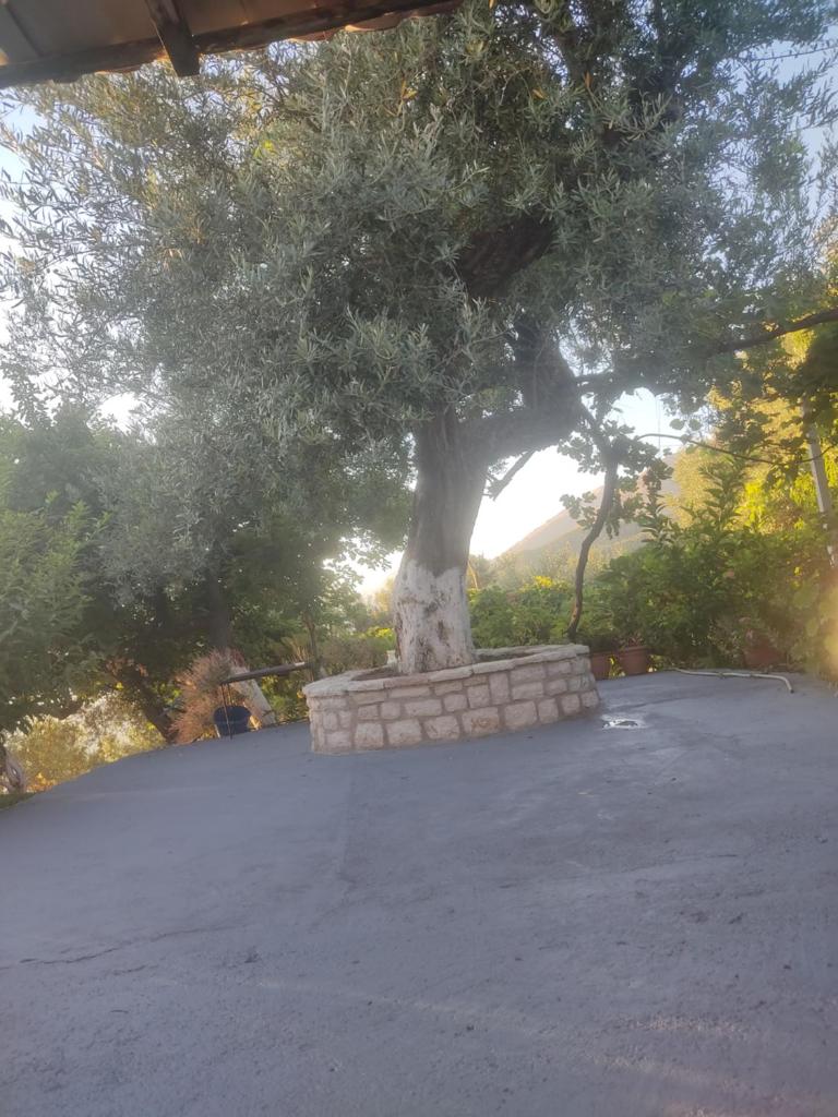 Gjosasi House photo 2