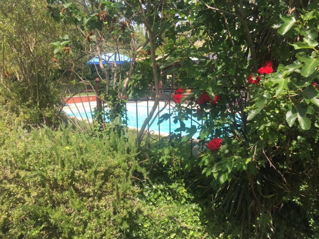 Le MAS DU SUD photo 2