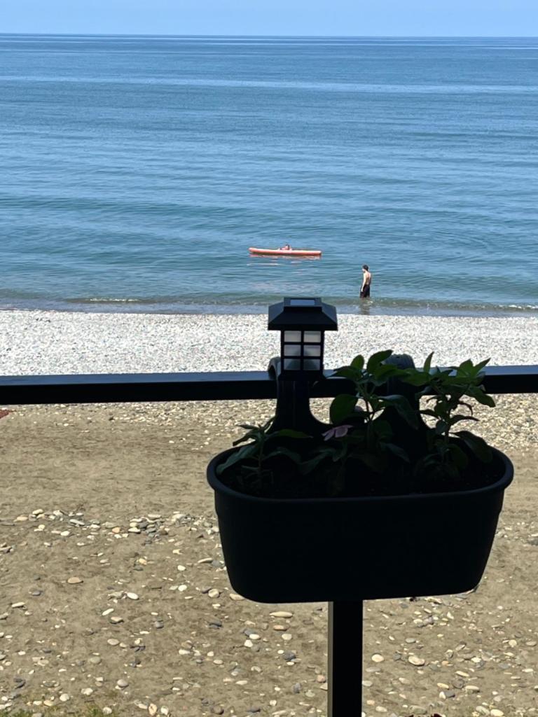 Apartment on the beach photo 4