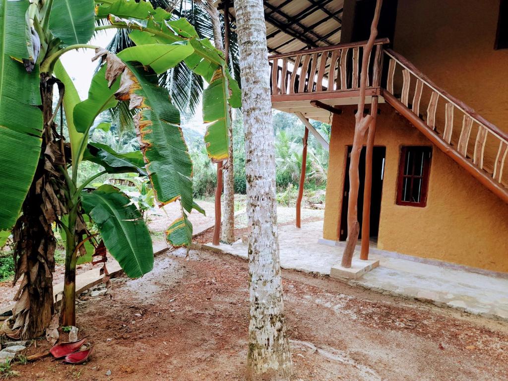 Morakanda Eco Villa photo 4