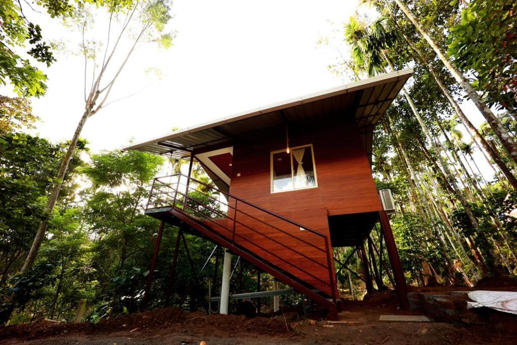 Cave Valley Wayanad photo 3