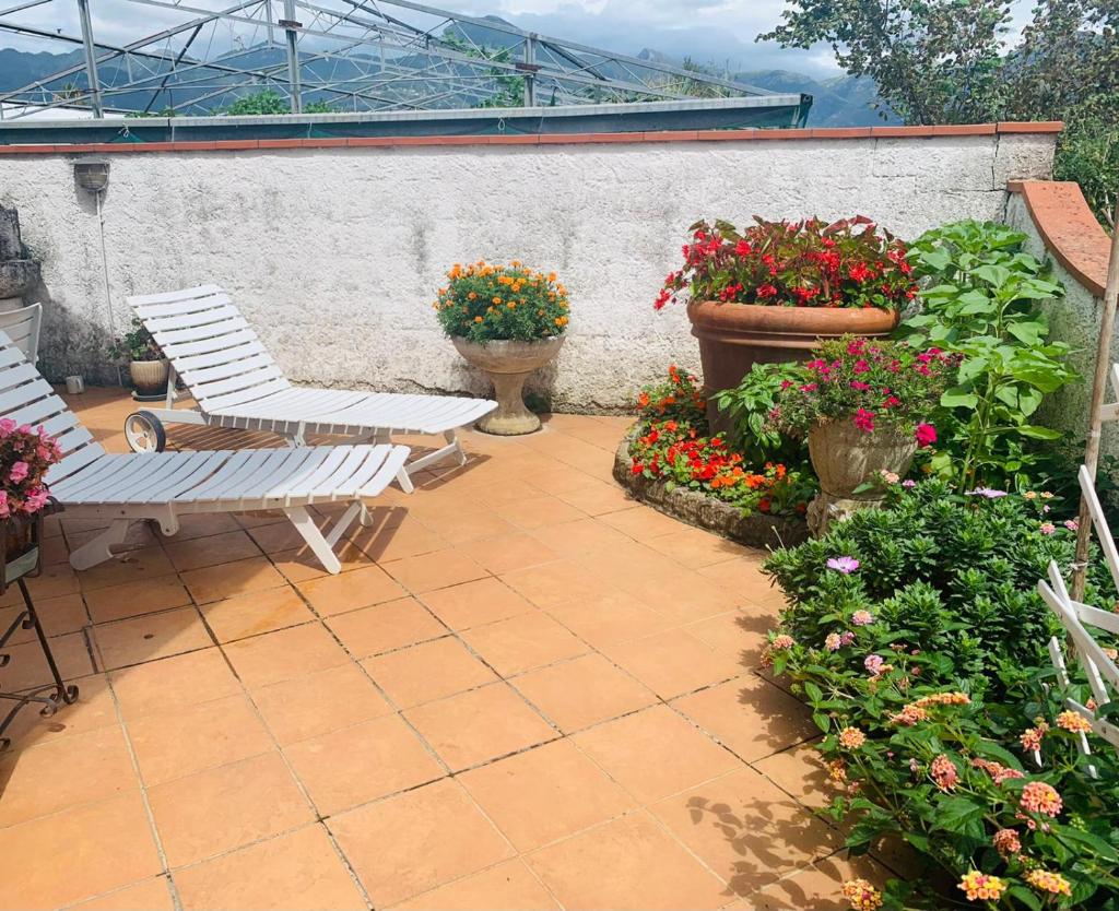 GIARDINO FIORITO photo 3