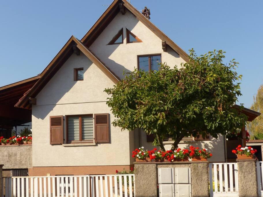GITE SPACIEUX AU COEUR DE L'ALSACE 3*** photo 3