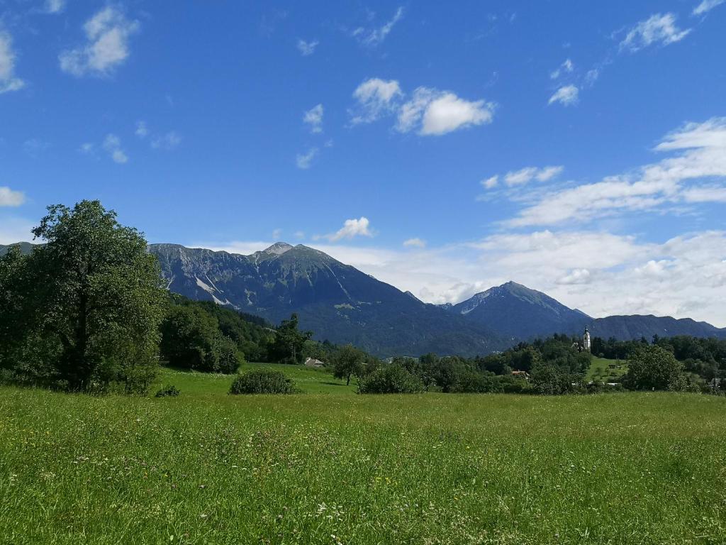 Apartmaji Volf photo 2