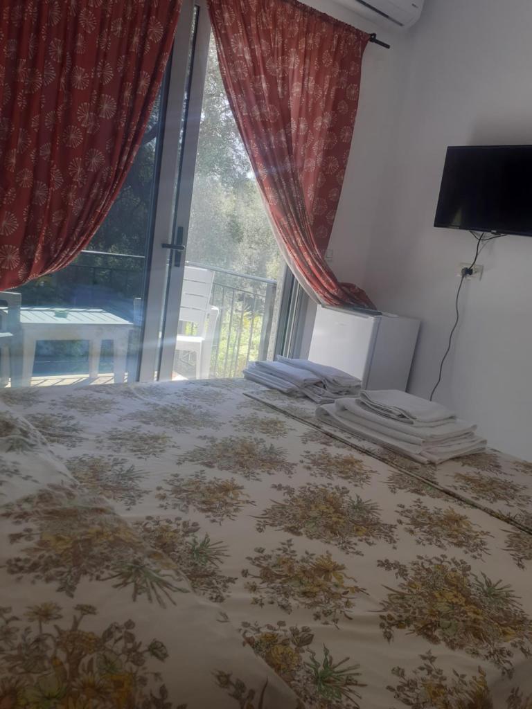 Amantius room photo 2
