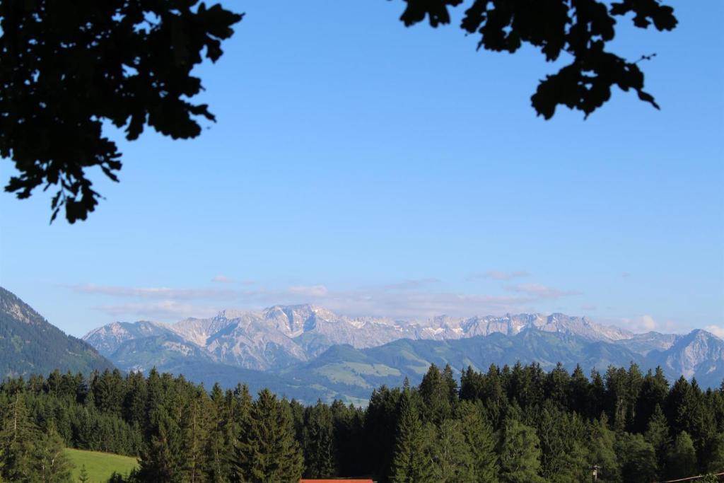 Panoramahof Monika Kennerknecht photo 3