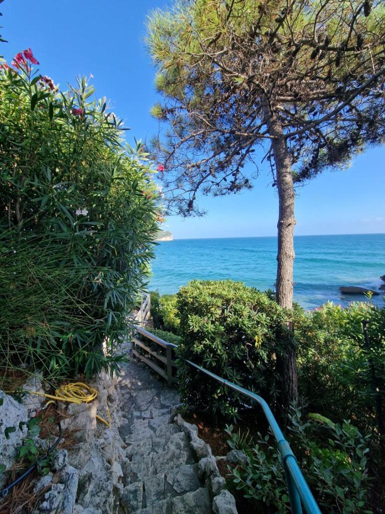 Chiaror di Mare photo 3