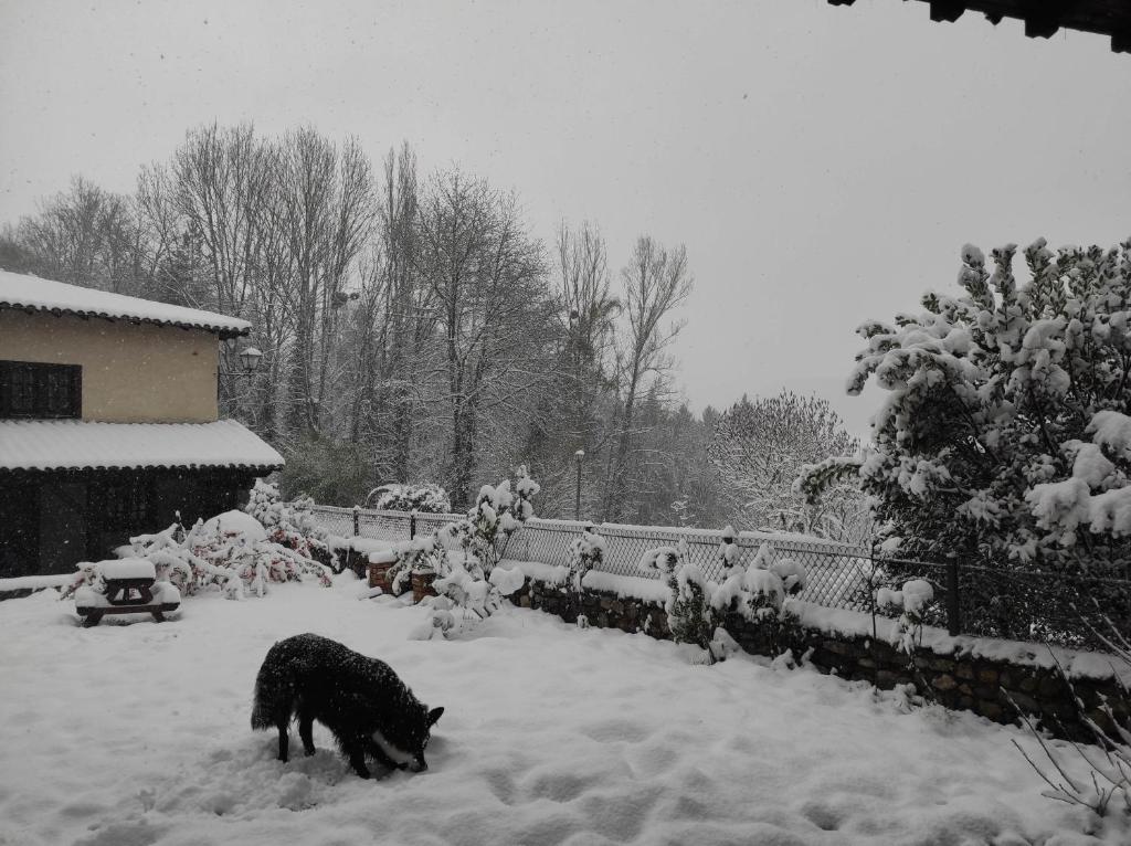 L'Orée des Bois photo 4