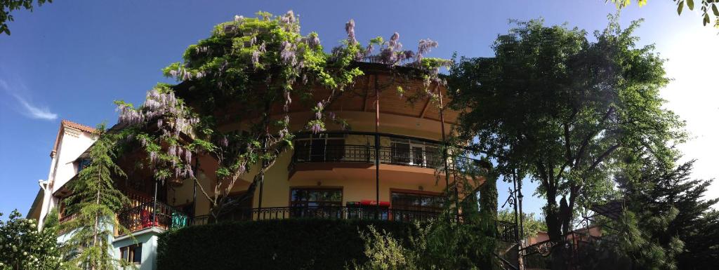 Casanova Inn - Boutique Hotel photo 3