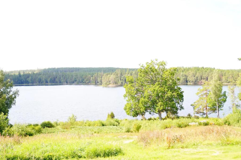 Stuga med sjöutsikt. photo 3