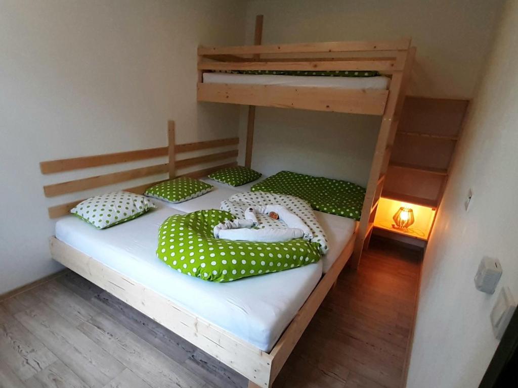 Apartment Protržená přehrada Bílá Desná by Interhome photo 3