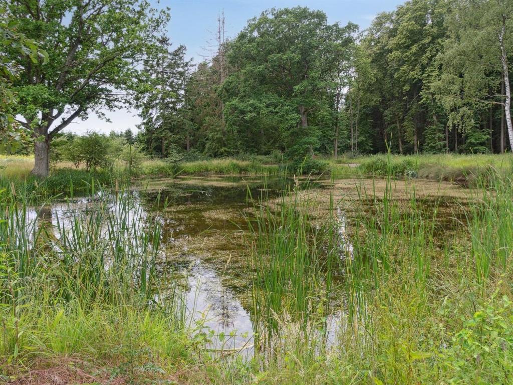 Holiday Home Nell - 3-2km to the inlet in Lolland- Falster and Mon by Interhome photo 1