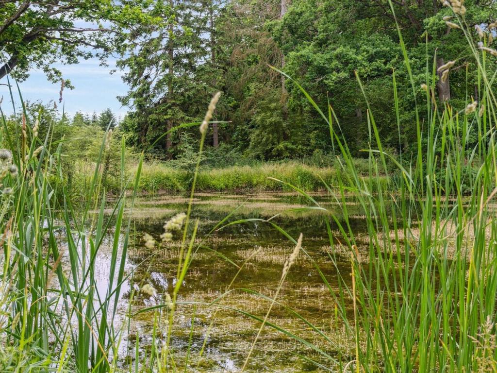 Holiday Home Nell - 3-2km to the inlet in Lolland- Falster and Mon by Interhome photo 4