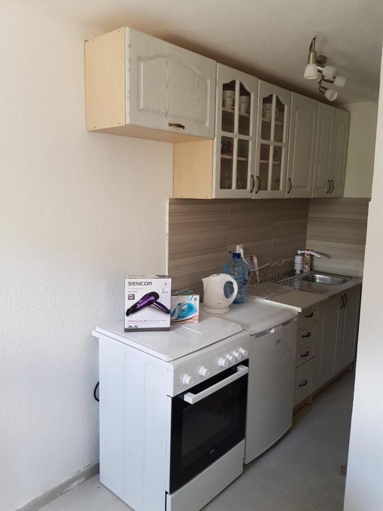 Apartmani Popovic Lux photo 3