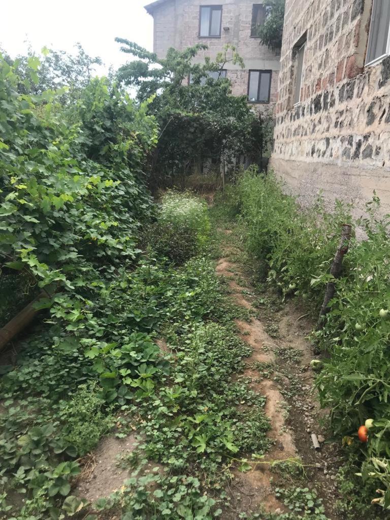 Roman's guest house in Garni photo 1