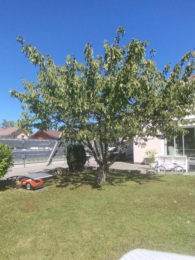 Villa Machilly photo 1