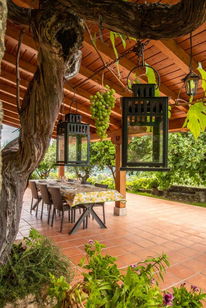 Casa Mimosa photo 4
