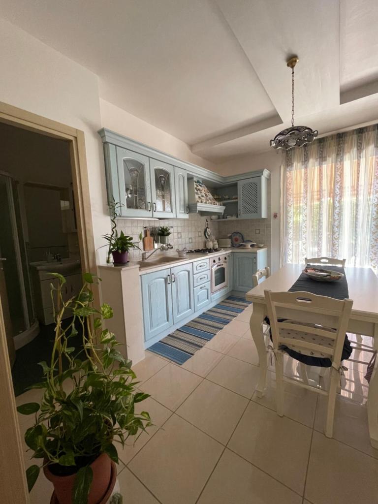Grazy House photo 2