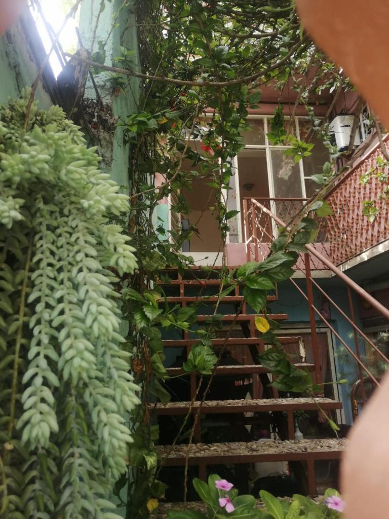 Casa Itanuni photo 4