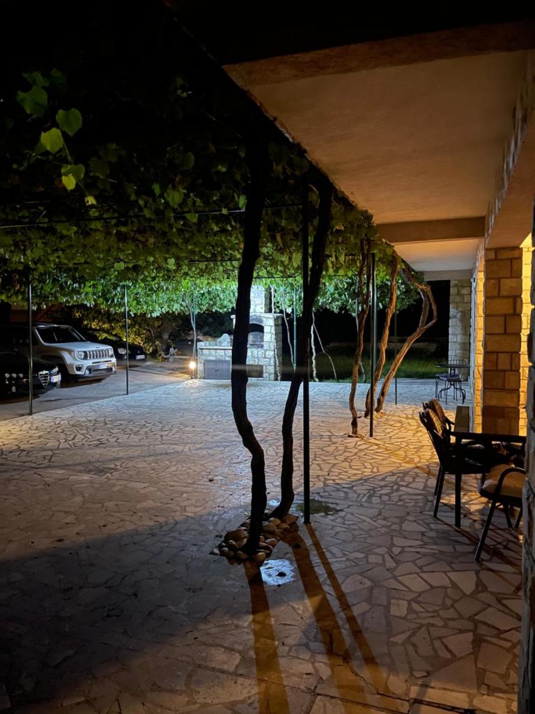 Apartmani Mendula photo 1