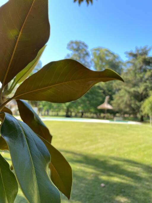 Quinta Las Amintas photo 3