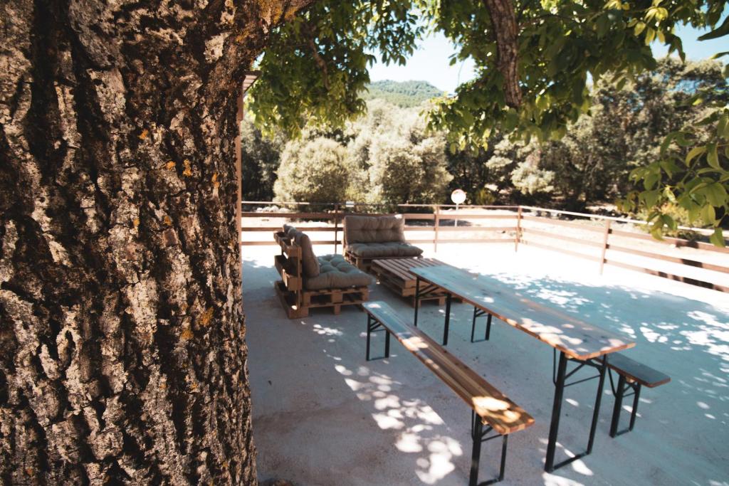 CASA RURAL EL PADRONCILLO photo 4