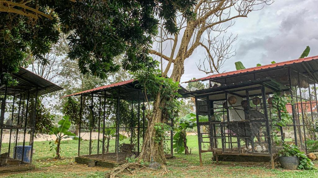Aaira 8Pari Riverview Lodge photo 2
