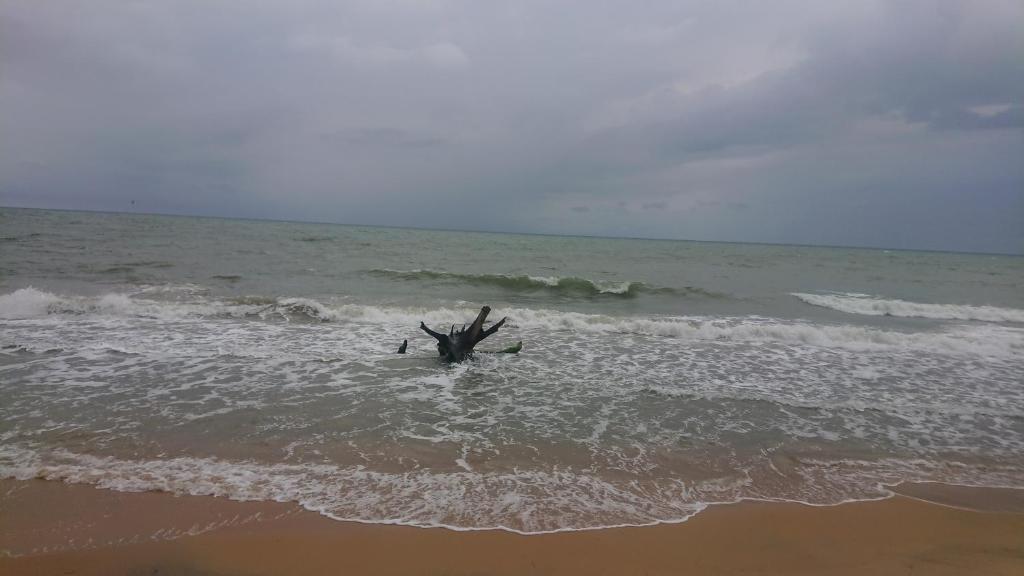 Sulashika Beach House photo 3