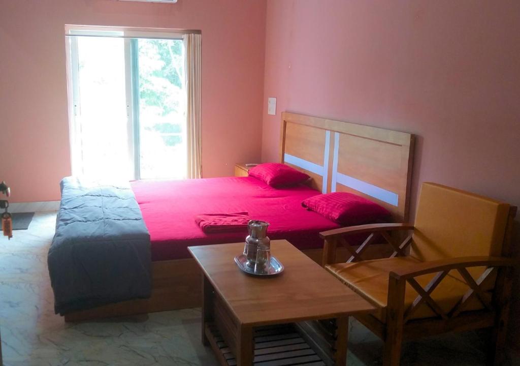 AYM Yoga Resort Arambol GOA photo 2