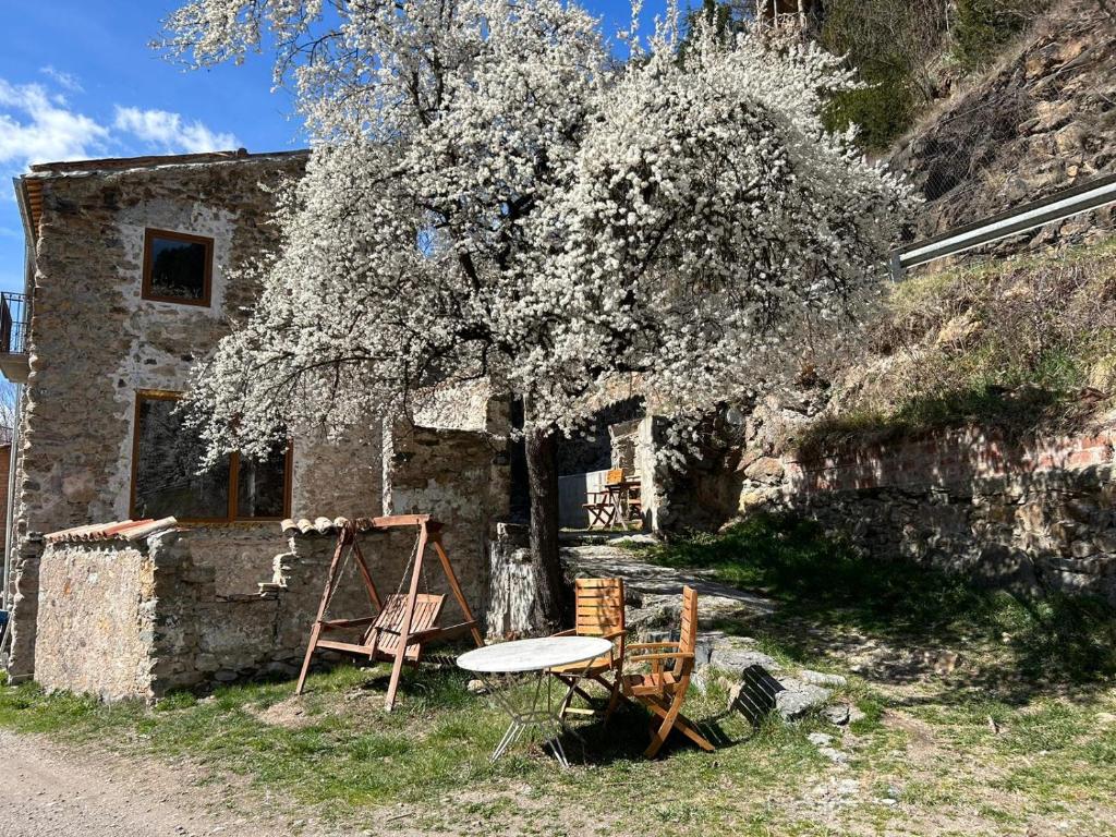 El Molí - Apartament Torreneules photo 1