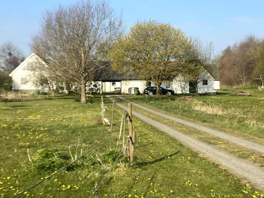 Lantligt boende på Österlen photo 3