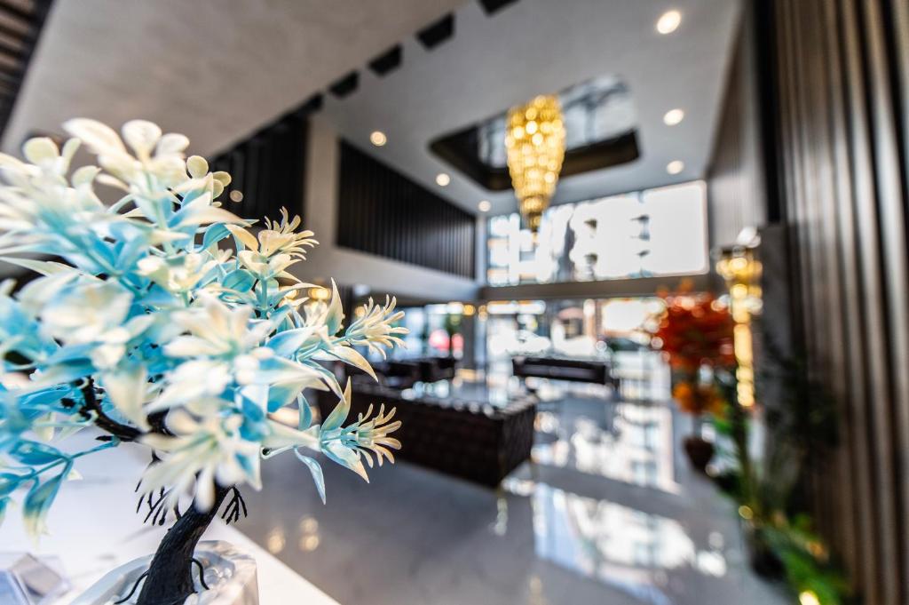 Blue Vista Hotel & SPA photo 2