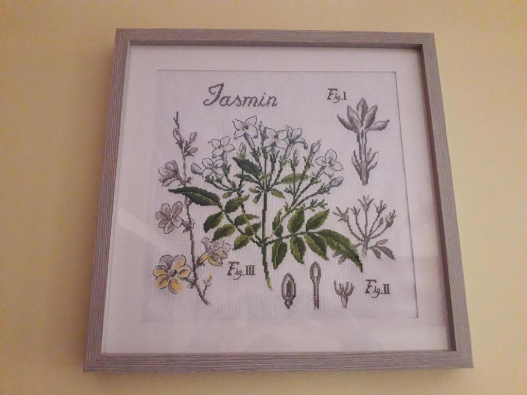 Apartament *Jasmine* photo 1
