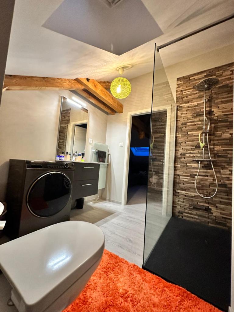 loft 100m2 confort+. Chez Cédric et Jeza photo 2