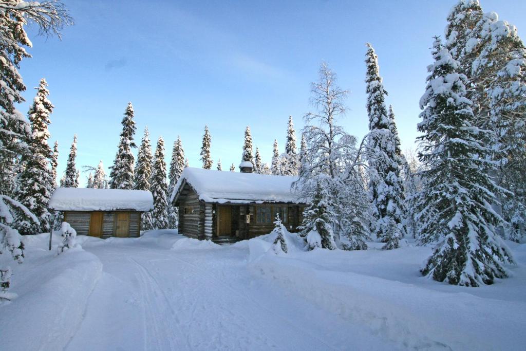 Holiday Home Aurora Cabin photo 1