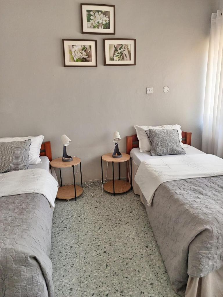 Ibex Hill apartment photo 4