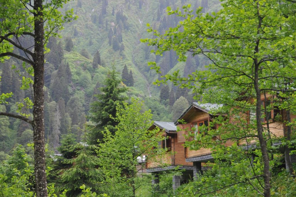 Kardelen Bungalov Evleri̇ photo 4