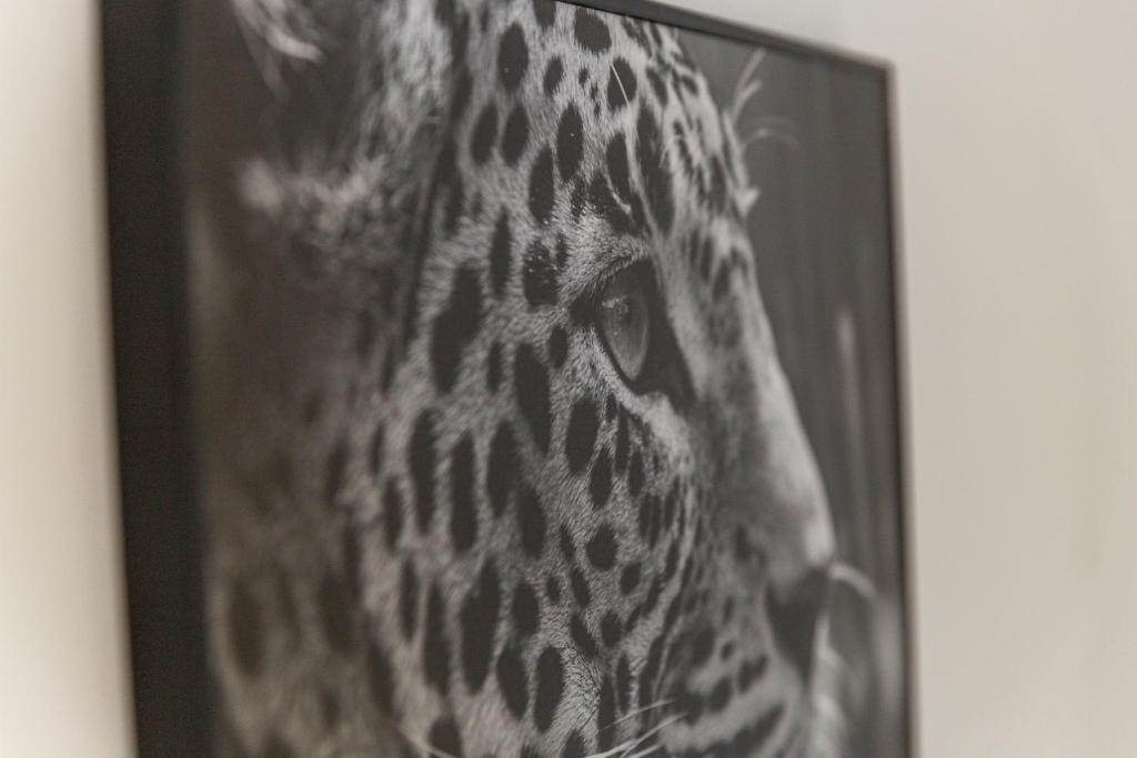 3베드룸 아파트