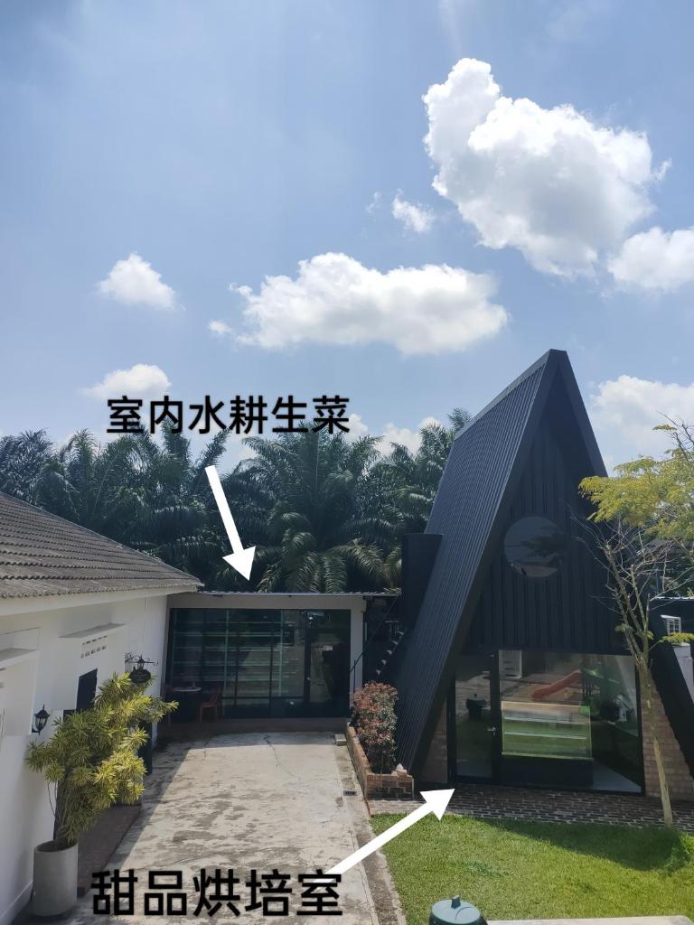 Bean & Bed Guesthouse photo 1
