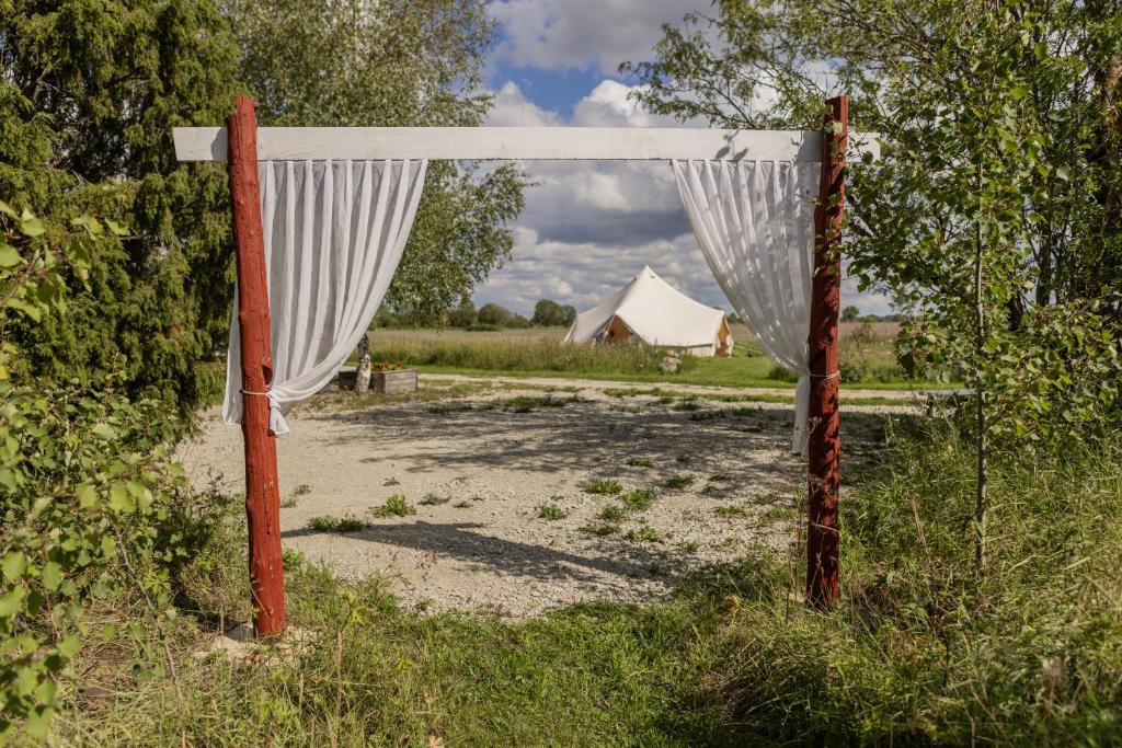 Niiduveere glämping