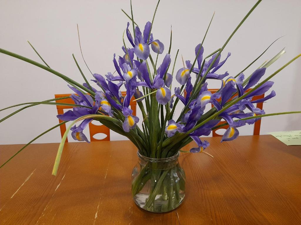 Vivero photo 3
