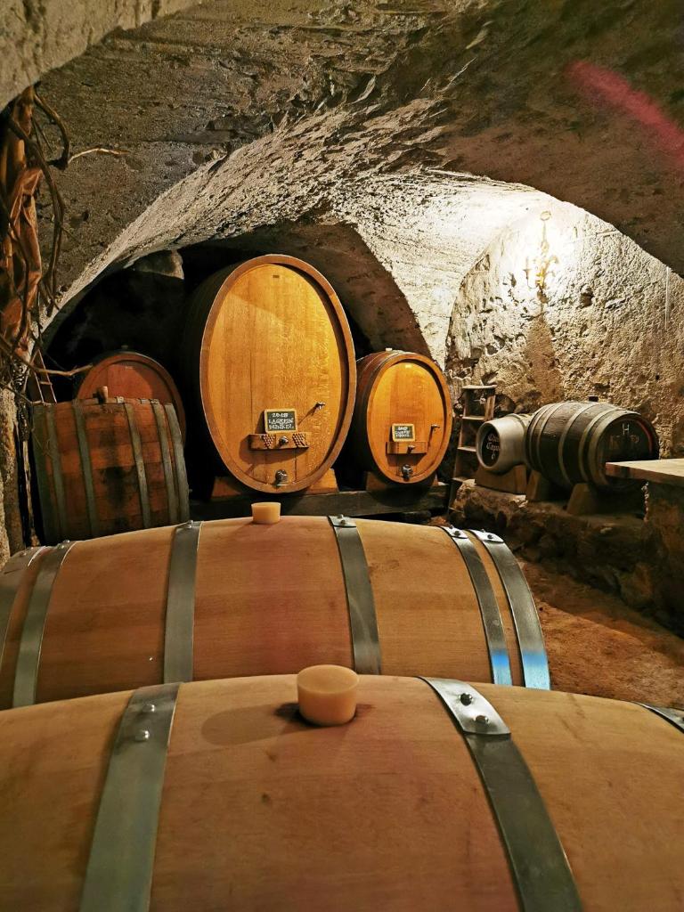 Chasa de Capol - Historische Gaststätte & Weinkellerei photo 2