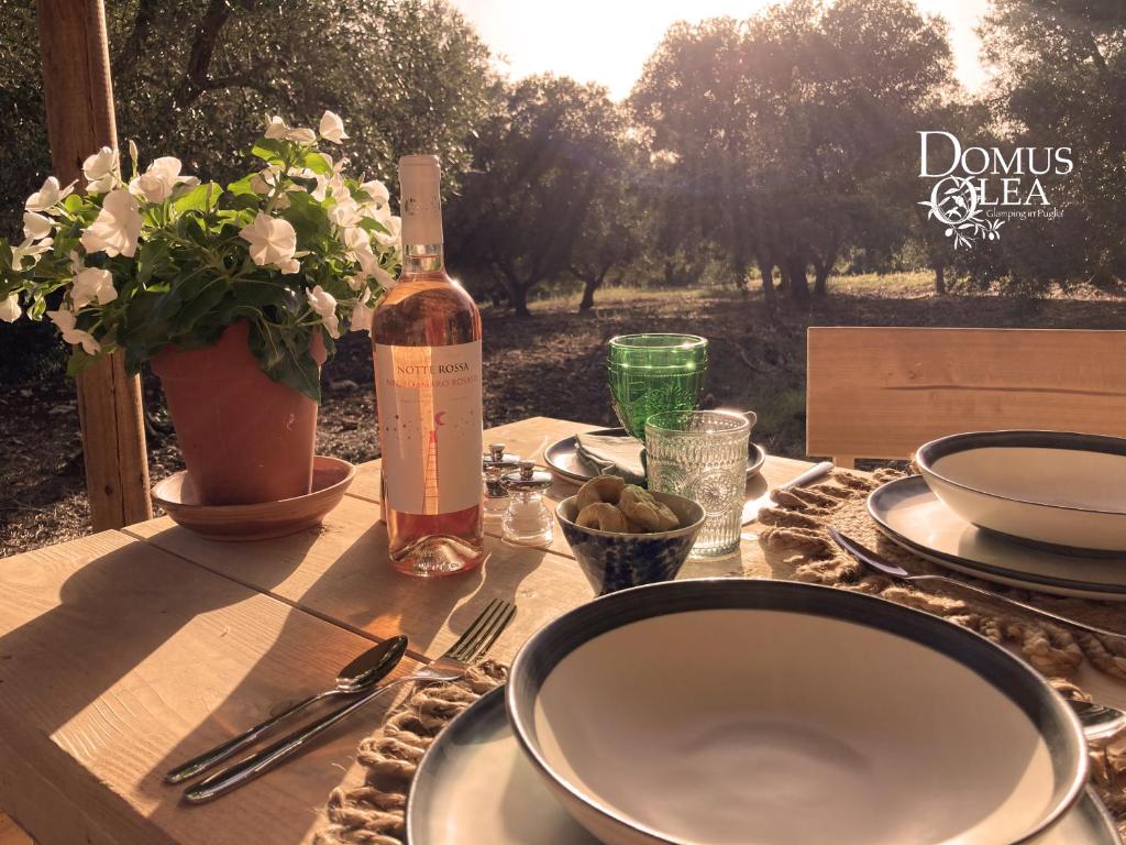 Domus Olea Glamping photo 1