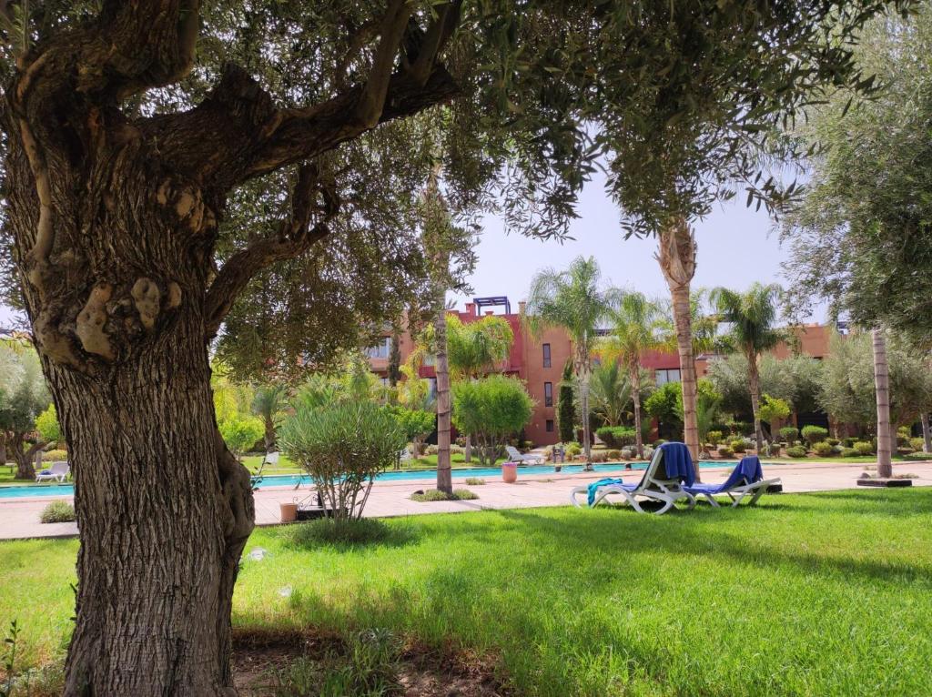 Appartement avec solarium Résidence Le Vizir Marrakech photo 1