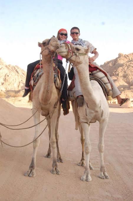 Horass photo 1